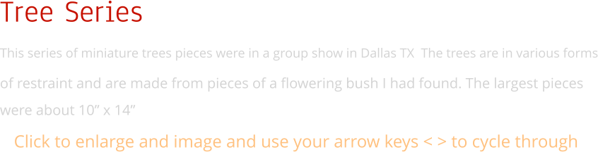 Tree Series This series of miniature trees pieces were in a group show in Dallas TX  The trees are in various forms of restraint and are made from pieces of a flowering bush I had found. The largest pieces were about 10” x 14” Click to enlarge and image and use your arrow keys < > to cycle through