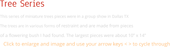 Tree Series This series of miniature trees pieces were in a group show in Dallas TX   The trees are in various forms of restraint and are made from pieces  of a flowering bush I had found. The largest pieces were about 10” x 14” Click to enlarge and image and use your arrow keys < > to cycle through